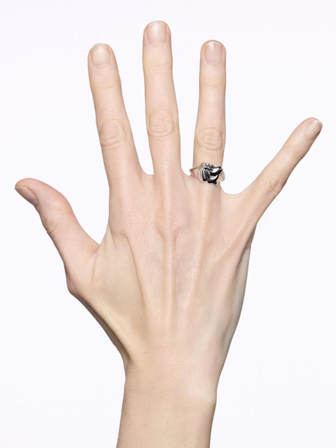 Fish Mini Signet Ring  - Silver