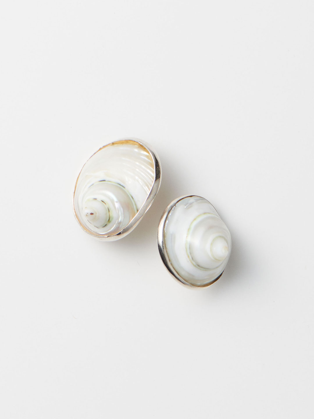 Shell Pierced Earrings - Silver