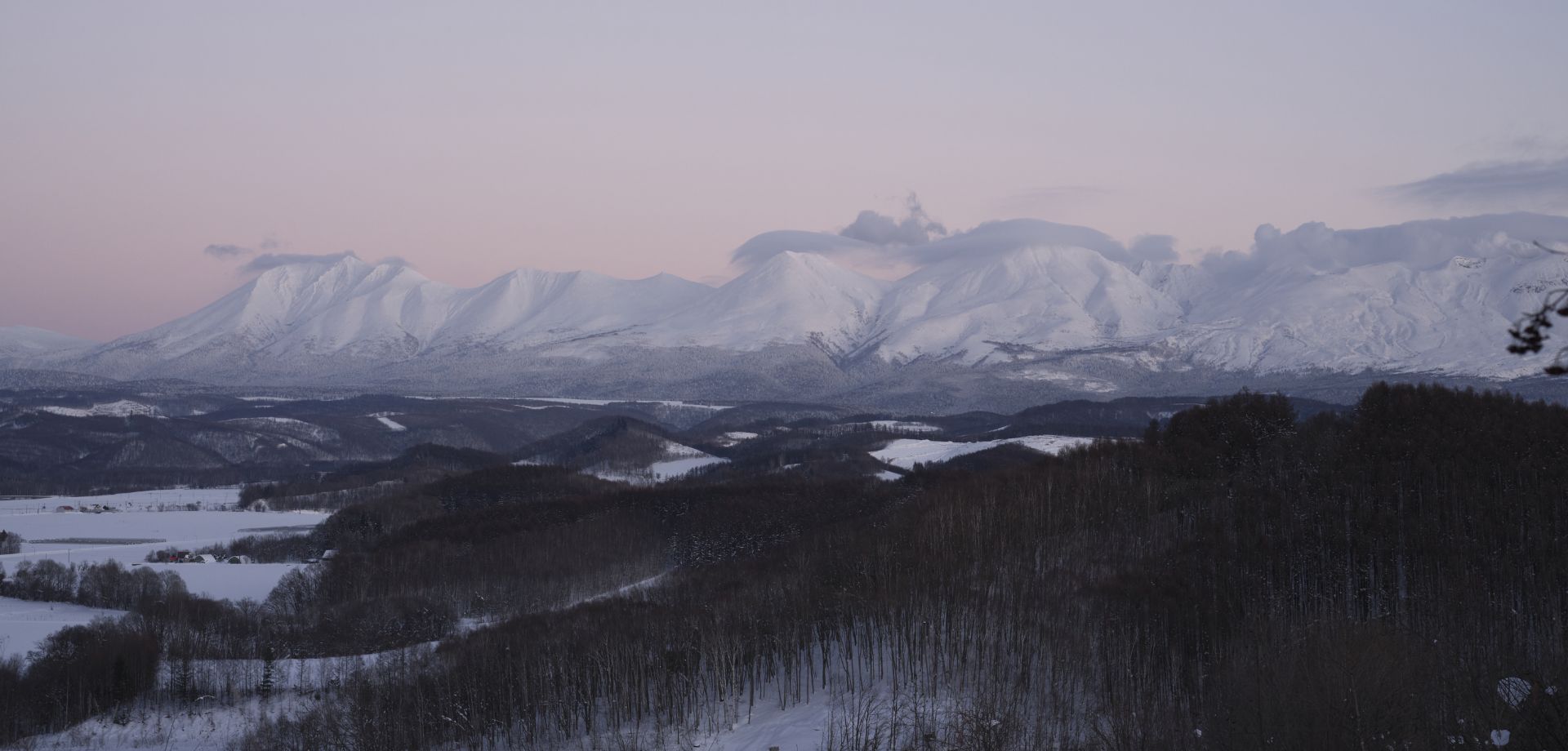 POSTELEGANT F/W 2025