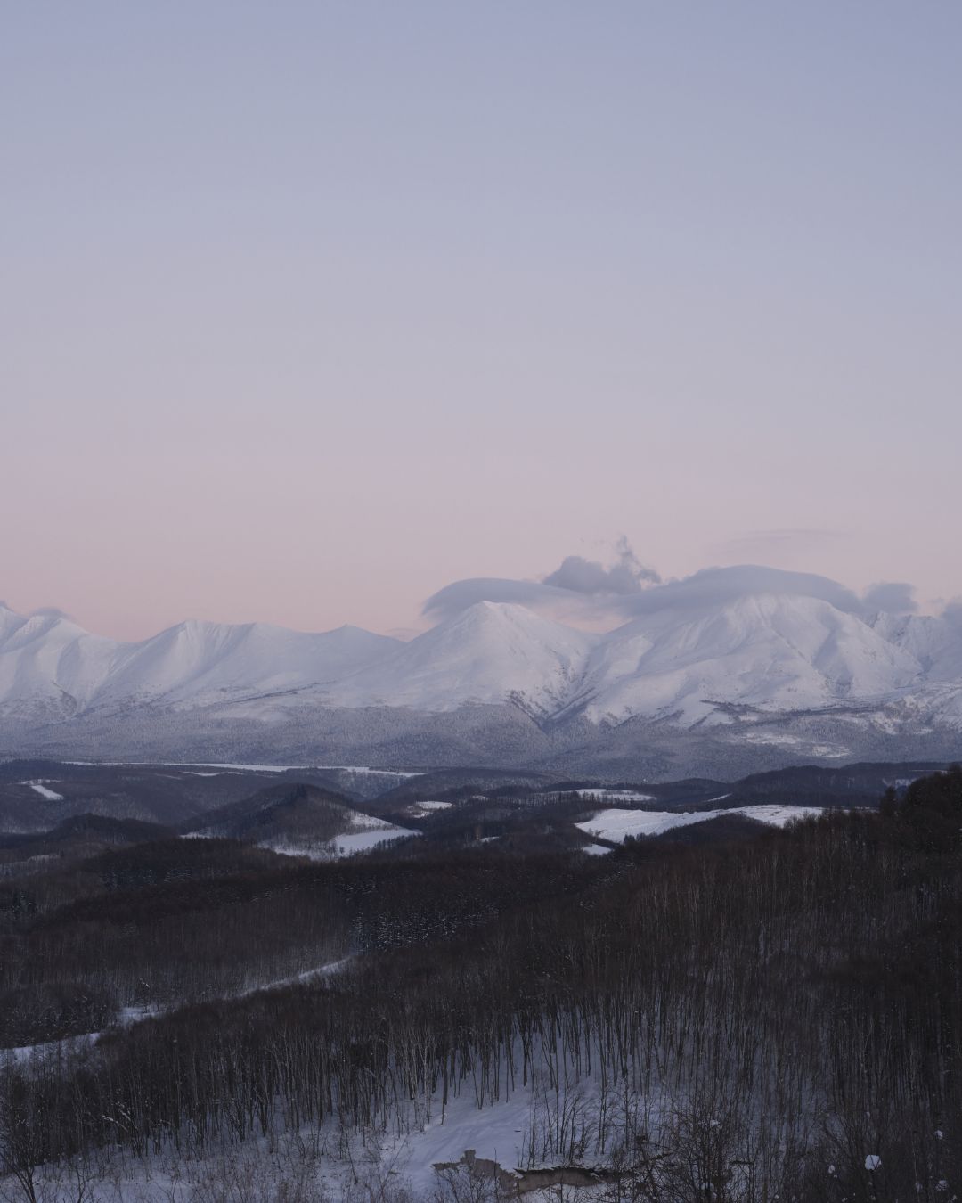 POSTELEGANT F/W 2025