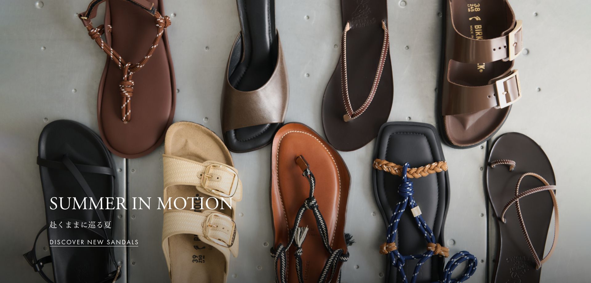 Summer In Motion